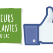 Fleurs et plantes du lac sur Facebook !